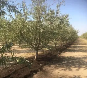 Net Zero Initiative project