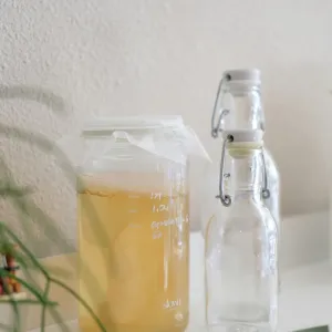 kombucha