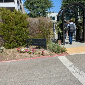 two people walking into a garden area