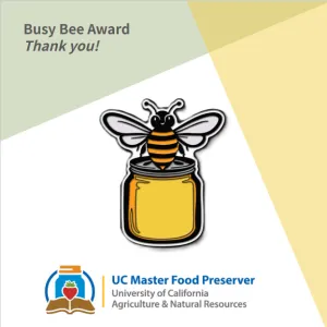 Busy Bee Award- yellow and black enamel pin with bee sitting on honey jar.