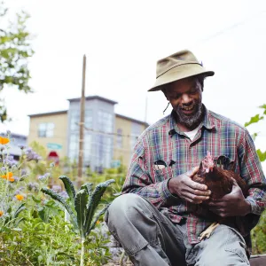Gardener cradling hen