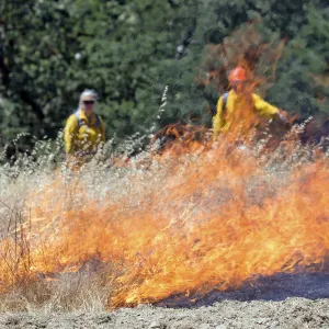 Flames in fied during prescribed burn training for volunteers
