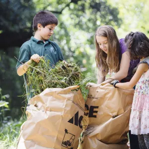 Three children bagging green waste for compost
