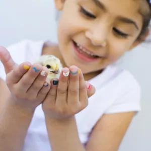 Youth Holding Chick