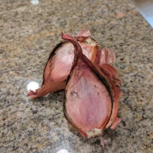 red shallot bulb