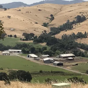 Picture of the Sierra Foothill REC from a far in Summer time