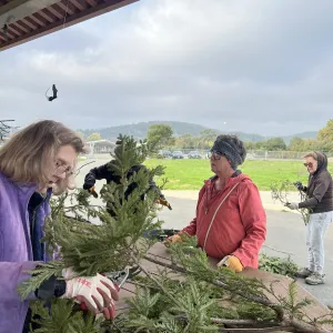 women preparing redwood greens
