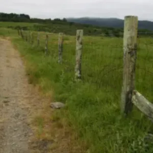 dirt path along a fence