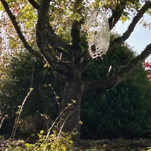 sparkling spider web floats from tree branches against a backround of a tree
