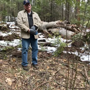Man stands in a forest.
