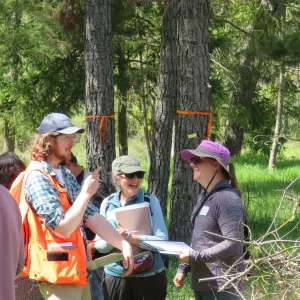 Three people stand and laugh in a forest.