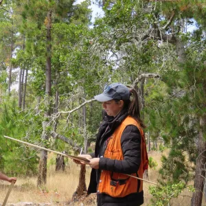 Woman stands in an orange vest and looks at a California Tree Stick.