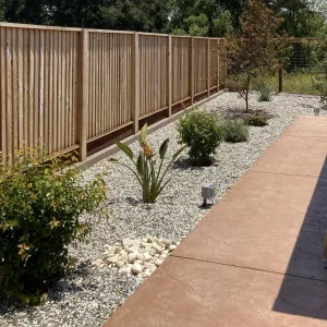 An area of landscaping between a fence and a pathway. The plants are spaced out in a row, with rock mulch between them.