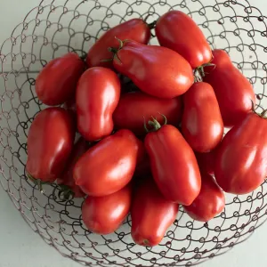 San Marzano Tomatoes