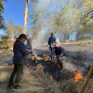 A group of people stand together in the middle of a low intensity prescribed burn in an open forest.