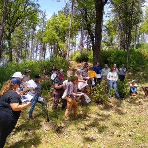 A group of people stand together, holding packets of papers, in an opening in a forest and listen to a speaker present.