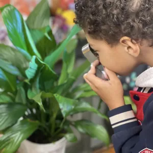 The side view of a child looking through a magnifying lens at a houseplant.