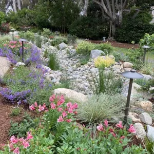 A dry creek bed filled with rocks and surrounded by lush greenery and pink alstromeria and purple penstemon flowers, with landscape lighting integrated into the scene.
