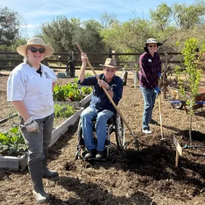 Gardeners smiling and working in a community garden, with one gardener in a wheelchair holding a garden tool.