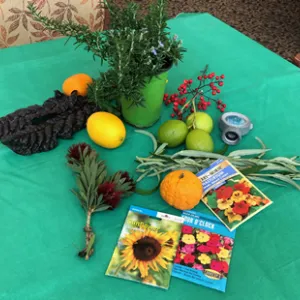 On a green tablecloth are items including seed packets of flowers, a lemon, three limes, an orange, a vase of rosemary, red coleus flowers, and other greens.