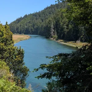 Russian river meandering through forest on both sides of its banks