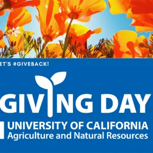 Giving Day Event Banner with California Poppies and the Giving Day Logo by UC ANR