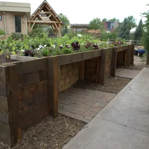 Raised garden beds made of dark wood with various plants growing in them, with a paved walkway and a stone pillar in the foreground.