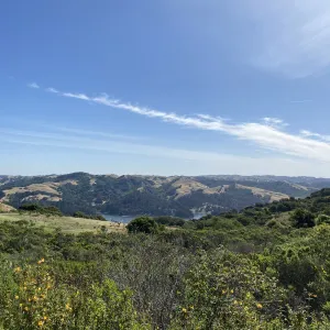 Image of East Bay hills behind Berkeley, California.