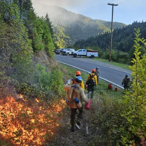 A group of people implementing a prescribed fire near a road. They are dragging a drip torch putting fire on the ground as they are walking to a road.