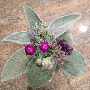 a tussy mussie arrangment with sage, verbena, lamb's ear and rosemary