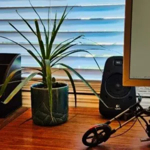 a dracena plant in a pot on a desk by a computer