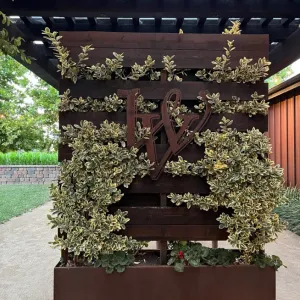 plants growing from a pallet serving as a trellis
