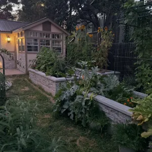 concrete raised beds with plants in them