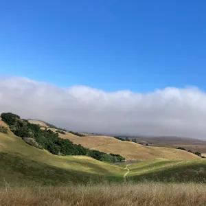 View from vista point in Central Valley.