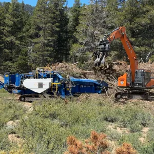A grinder processing woody material and putting it into piles.