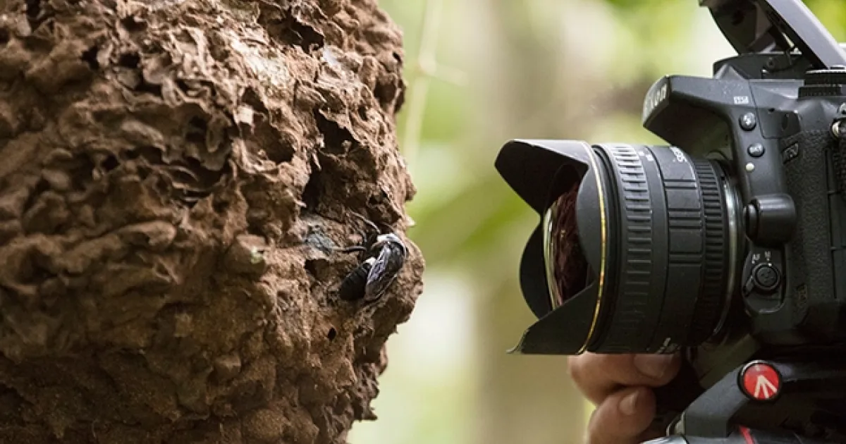 blog58464.jpg.webp?itok=lM8c0QZz