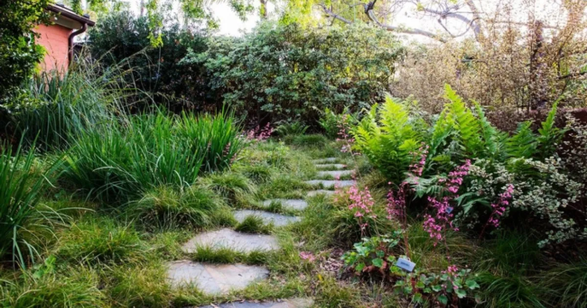 Shady Spot Suggestions. | Napa Master Gardener Column