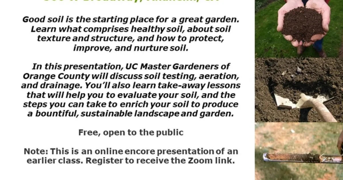 How to Improve Soil After Testing: Essential Tips for Healthier Plants