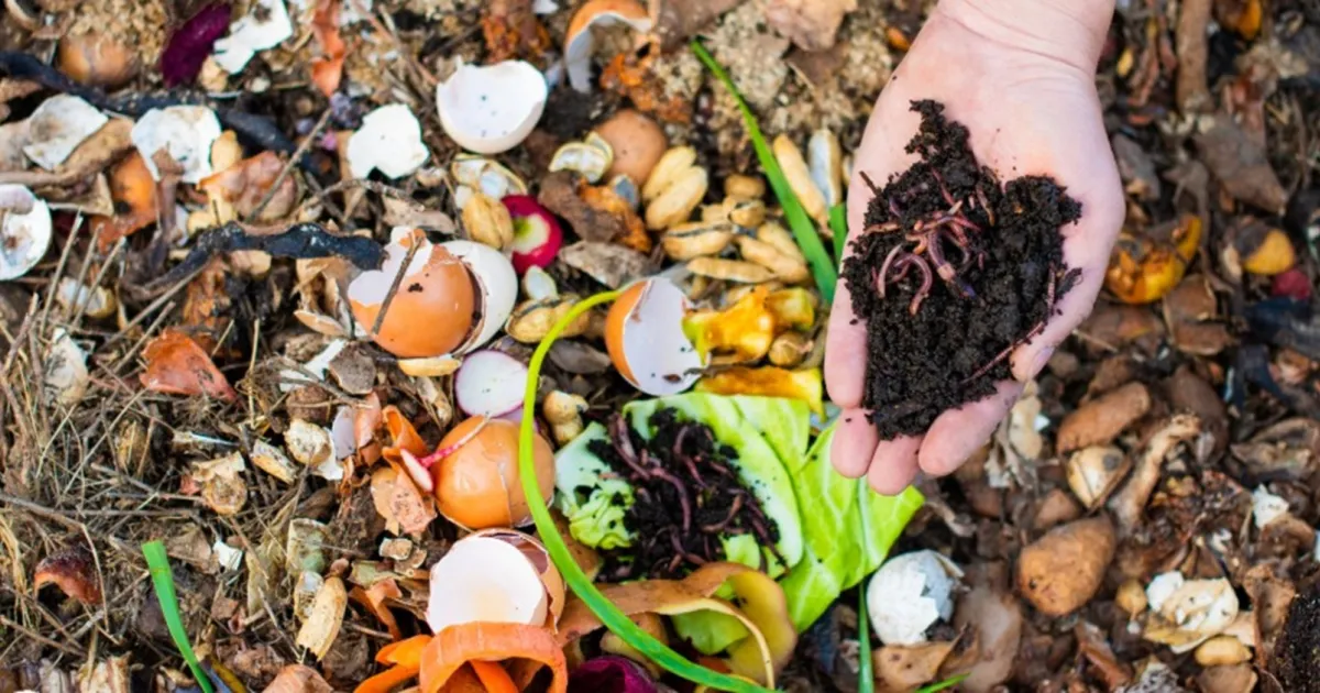 Introduction to Composting: Starting a Hot Pile or Worm Bin | UC ...