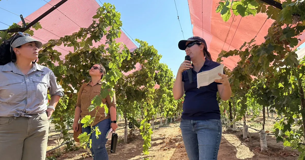 Grape Day shows San Joaquin Valley growers ‘what works in our area, for our crops’ Grape Day shows San Joaquin Valley growers ‘what works in our area, for our crops’