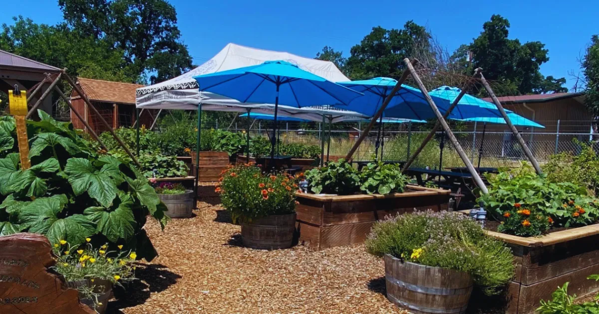 Cultivating Healthy Food and Stronger Communities with Lake County ...