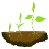 TFG_Soil