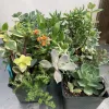 A variety of colorful succulents in a black pots, featuring different leaf shapes and textures, with small orange flowers