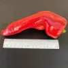 Pepper-Carmen-MG-Jim-Lai