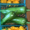 Pepper-Numex-Big-Jim-MG-Laura-Westley