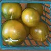 Tomato-Lime-Green-Salad-MG-Laura-Westley