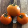 Tomato-Orange-You-Glad-MG-Rene-Prupes