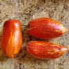 Tomato-Speckled-Roman-MG-Jacqueline-Bogard