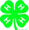 4-H