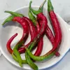 Pepper-Er-Jing-Tiao-MG-Yahui-Tu